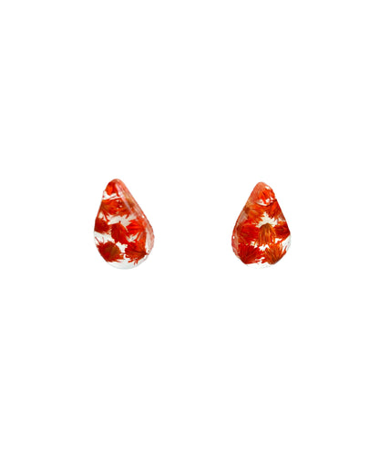 Wildflower Astars - Teardop Earrings Studs