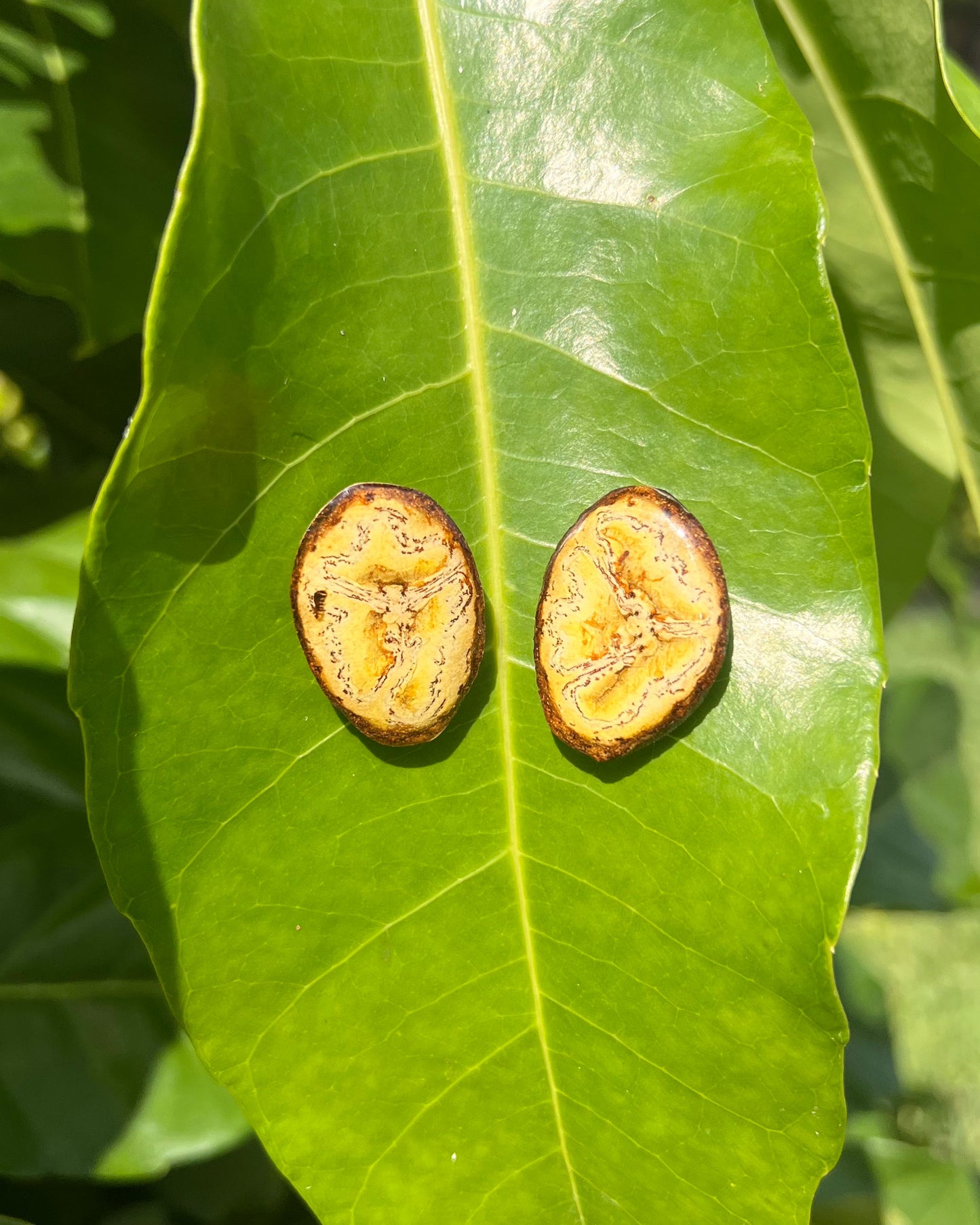 Go Bananas Stud Earrings